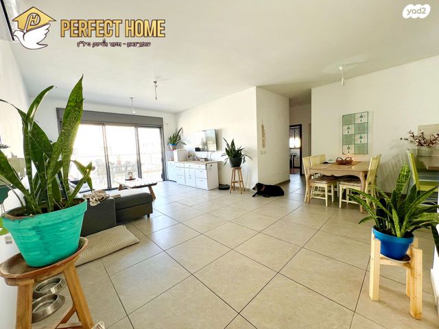 דירה, שרונה, כפר יונה