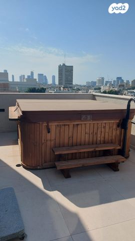 גג/ פנטהאוז, דיזנגוף, הצפון הישן - דרום, תל אביב יפו