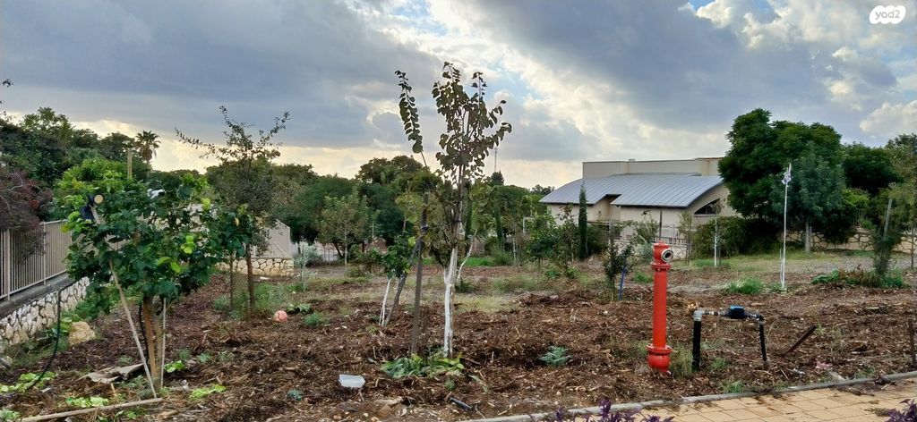 מגרשים, בחן