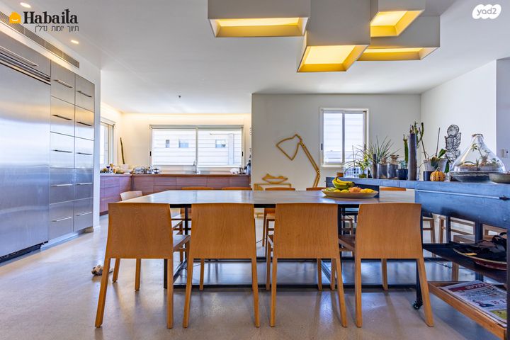 גג/ פנטהאוז, נווה גן, רמת השרון