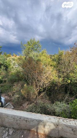 מגרשים, קרית טבעון