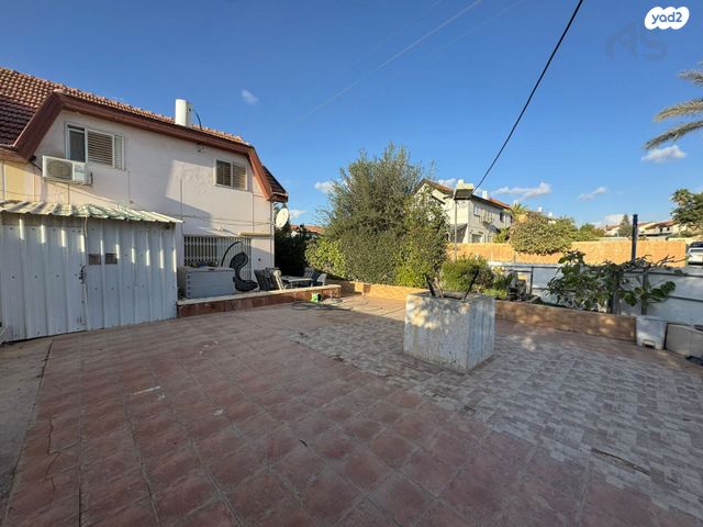 יוסף בן דוד 