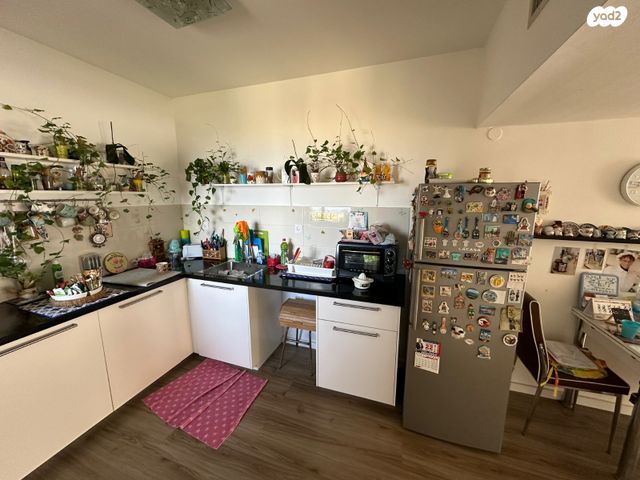 דירה, שדרות הנשיא, מרכז הכרמל, חיפה