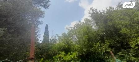 מגרשים