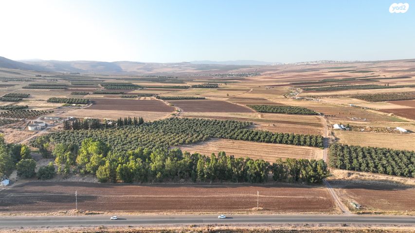 מגרשים