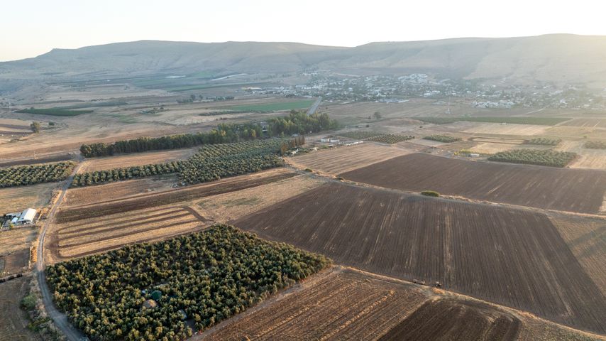 מגרשים, יבנאל