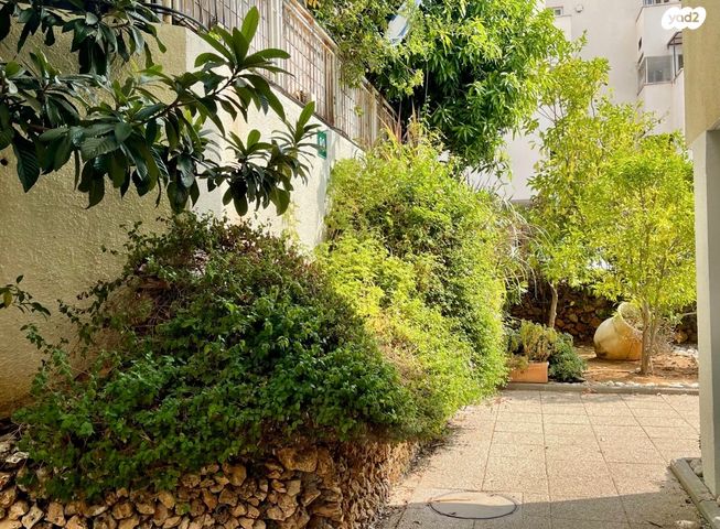 דירה, אז"ר, צפון, כפר סבא