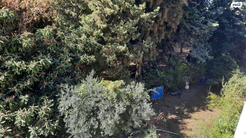 דירה, אלתר, חיפה