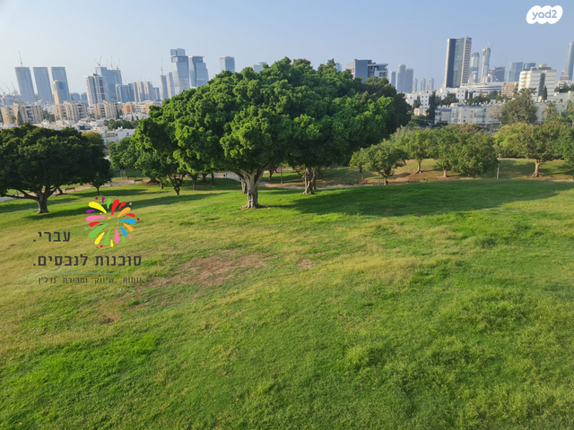 דופלקס, בנימין זאב באכר, תל אביב יפו