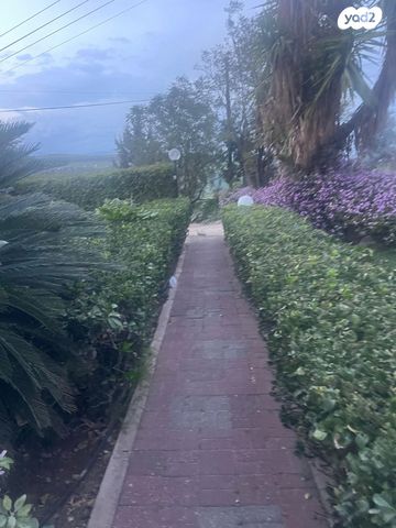 בית פרטי/ קוטג', מצפה