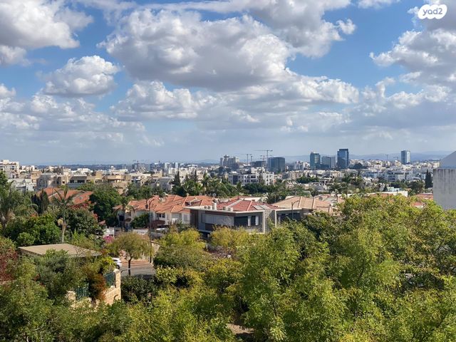 שרה אהרונסון 14