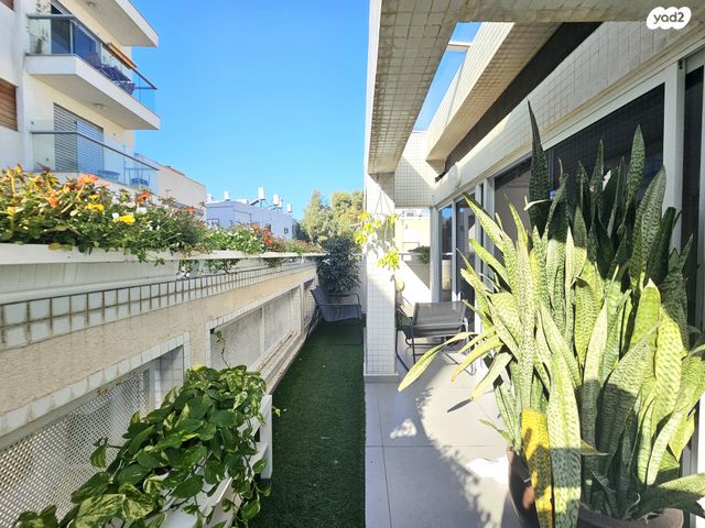 דופלקס, ברנשטיין כהן, לב תל אביב, לב העיר צפון, תל אביב יפו