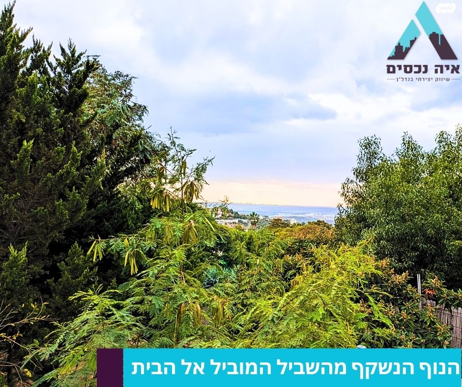 דו משפחתי