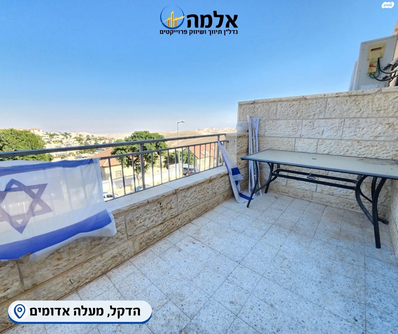 הדקל 