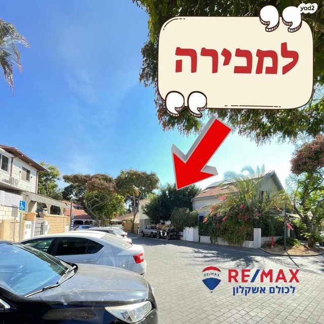 זרעית 