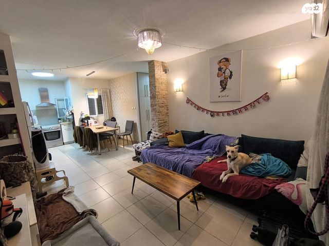 דירת גן, ביאליק, מרכז, קרית עבודה, חולון