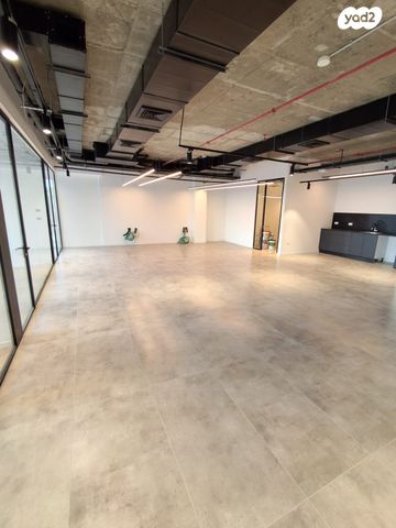 ליאונרדו דה וינצ'י 