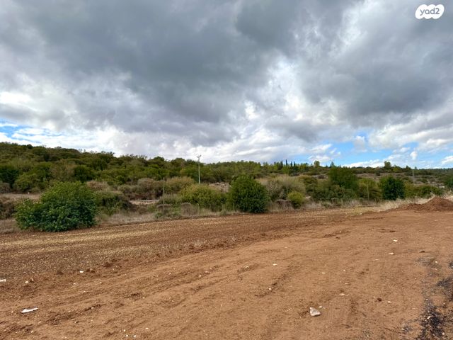 מגרשים, גבעת ישעיהו