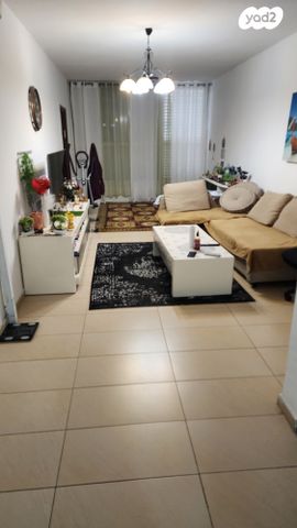 דוד וולפסון 