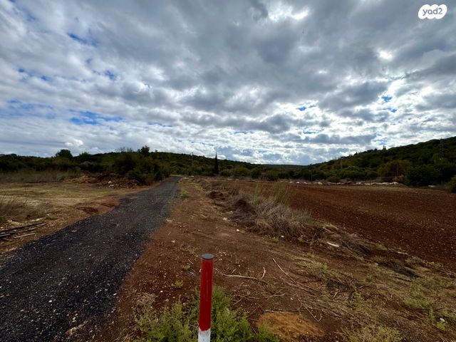 מגרשים, גבעת ישעיהו