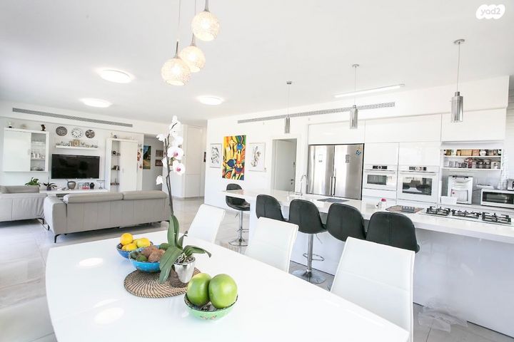 גג/ פנטהאוז, ביאליק, שכונת בן גוריון, מרכז העיר ג', רמת גן