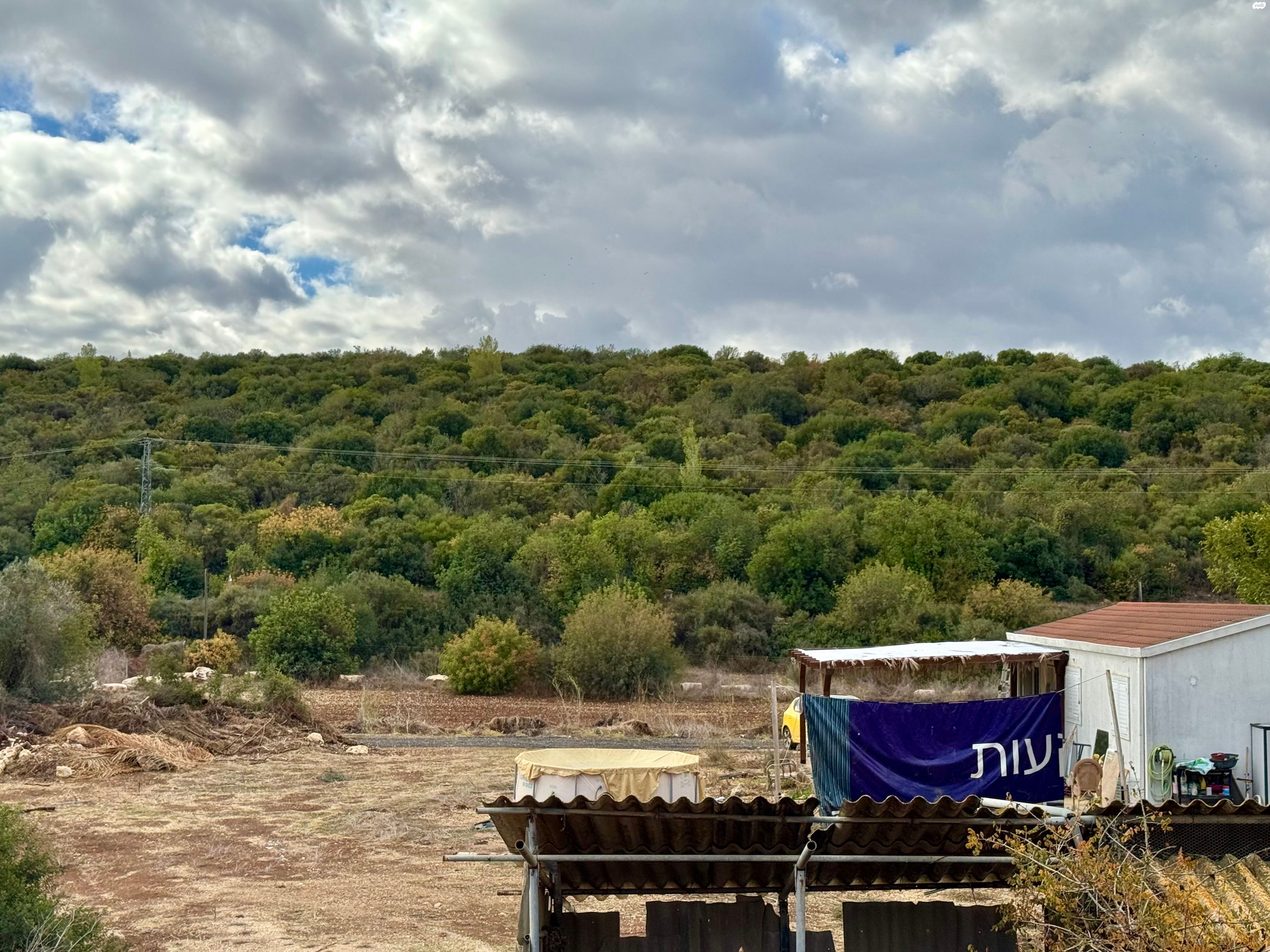 מגרשים