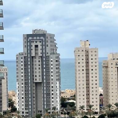 אמנון ליפקין שחק 