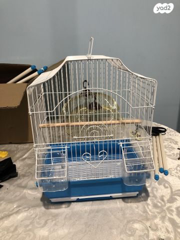 תמונת מודעה - חיות מחמד