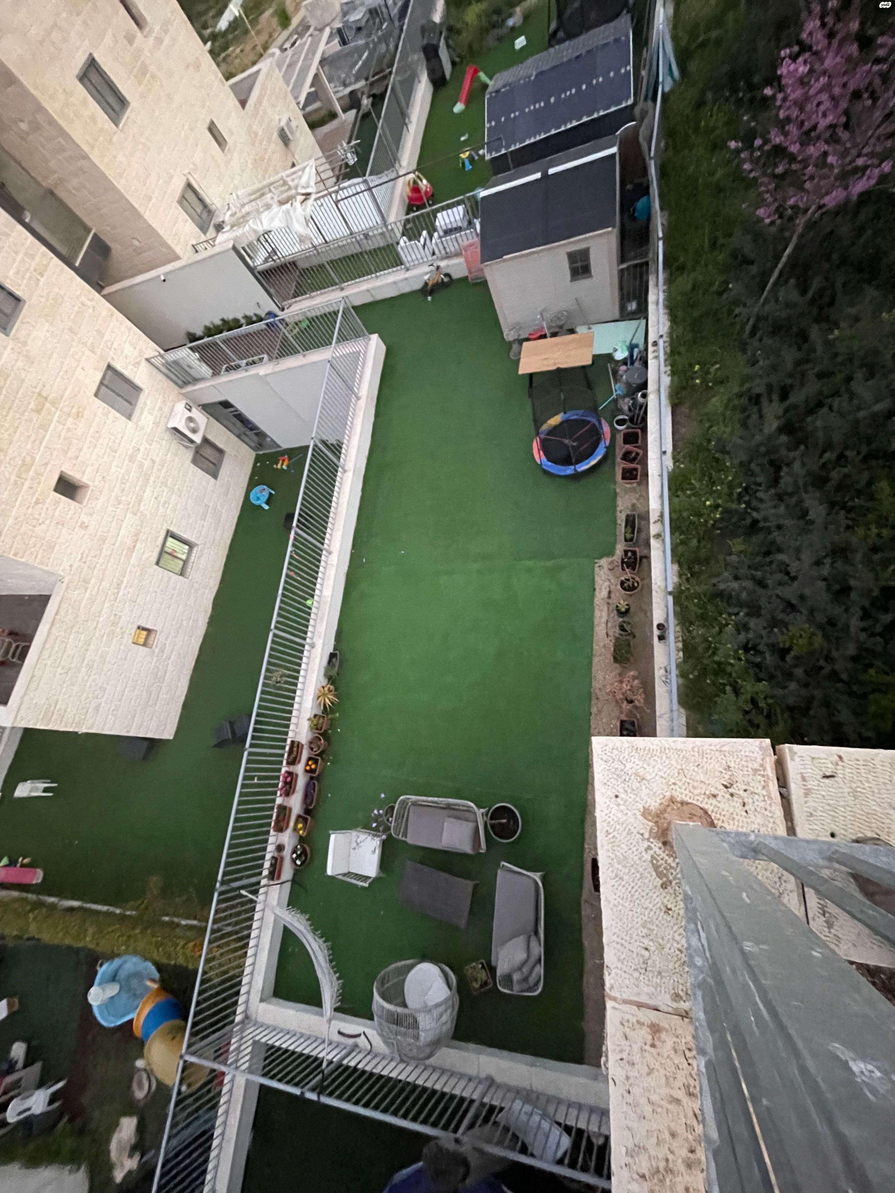 הרב קוק 22