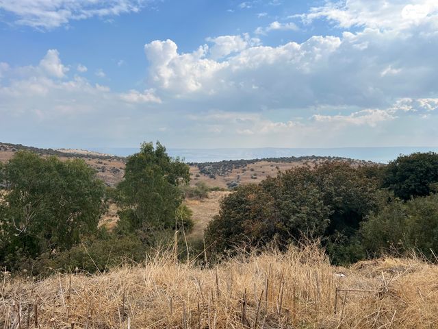 בית פרטי/ קוטג', חוקוק