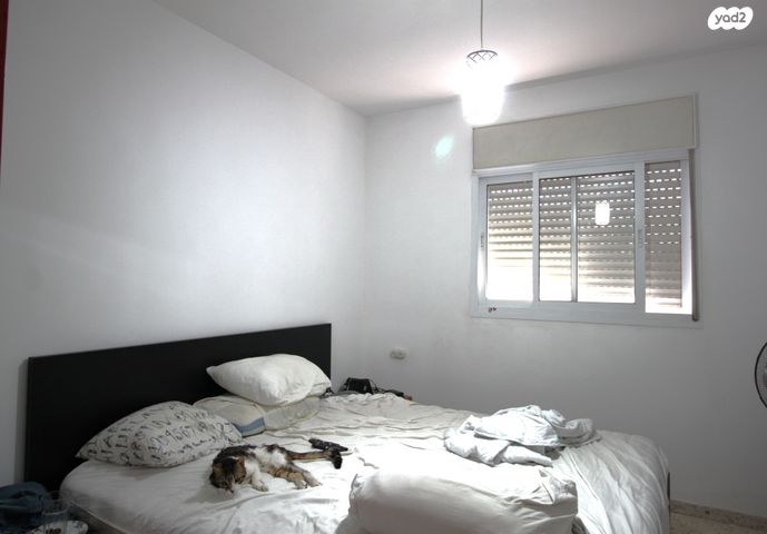 דירה, התזמורת, נאות אשלים, ראשון לציון