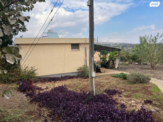 בית פרטי/ קוטג', חוקוק