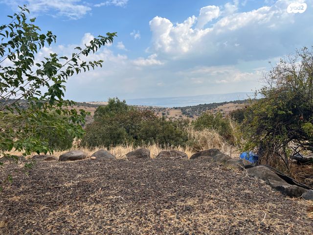 בית פרטי/ קוטג', חוקוק