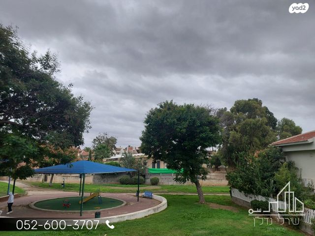 הרותם 