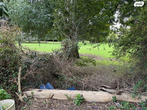 בית פרטי/ קוטג', בצרה