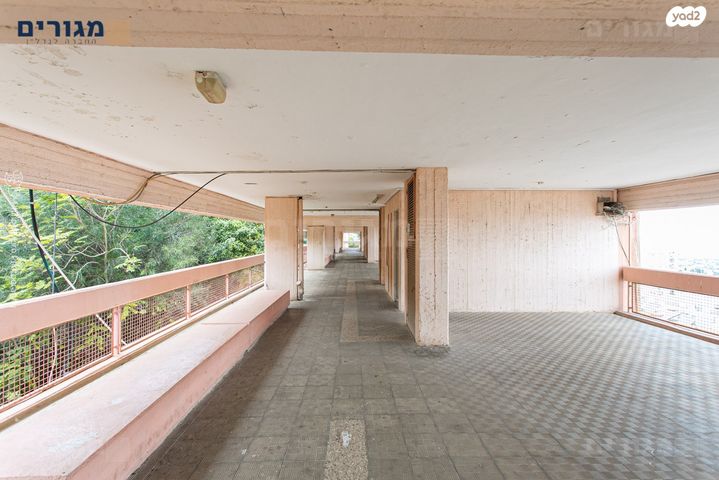 דירה, חנה סנש, חיפה