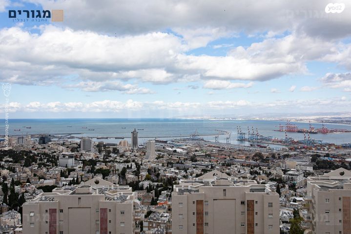 דירה, חנה סנש, חיפה