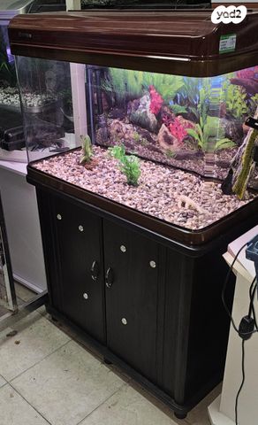 אביזרים | אקווריום