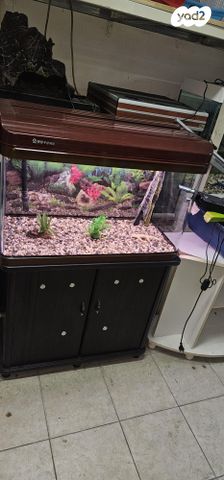 אביזרים | אקווריום