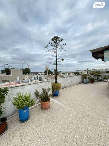 דופלקס, מוצקין 9, שפרינצק, רמלה