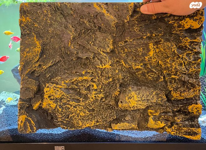 תמונת מודעה - חיות מחמד