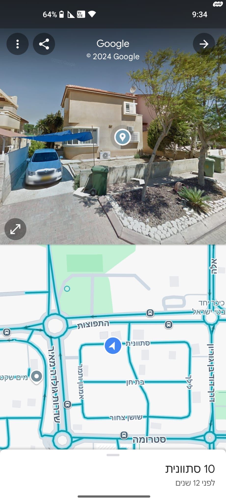 סתוונית 11
