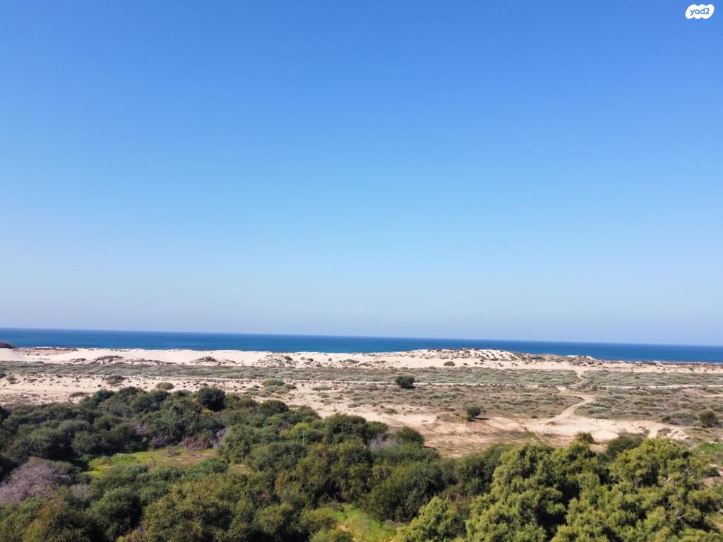 מגרשים