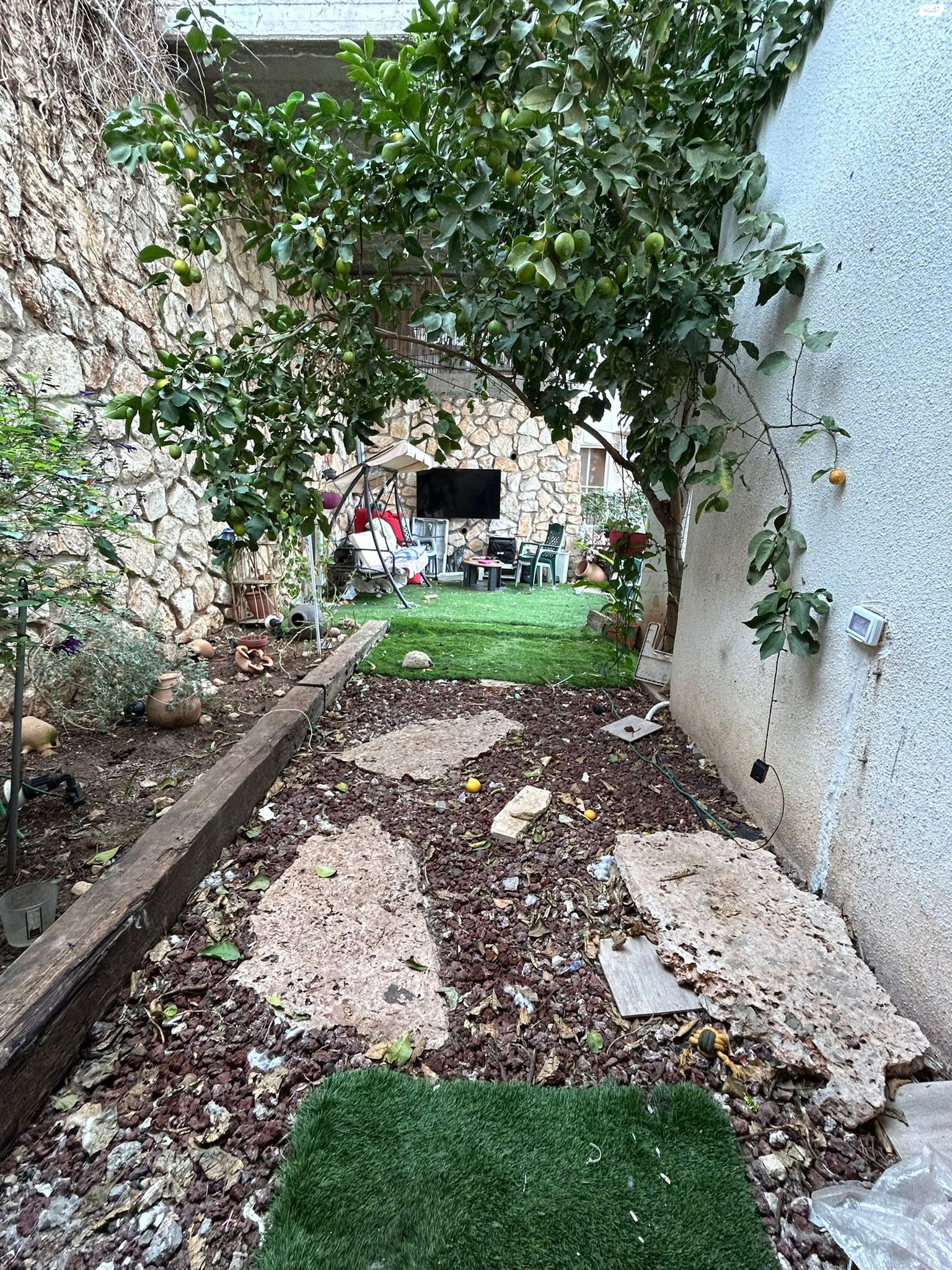 דירת גן