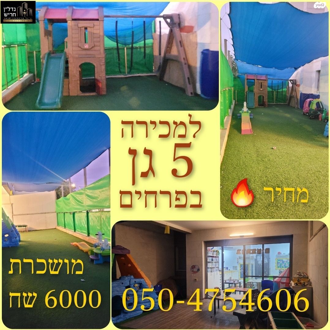 הפרחים