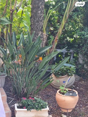 בית פרטי/ קוטג', נוף העמק, מגדל העמק