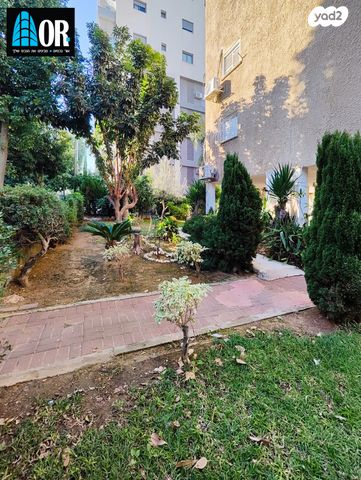 דירה, ברנדייס, רמב"ם, ראשון לציון