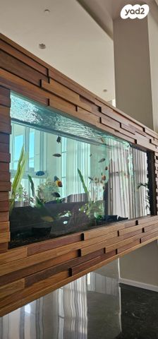 דירה, נתניה