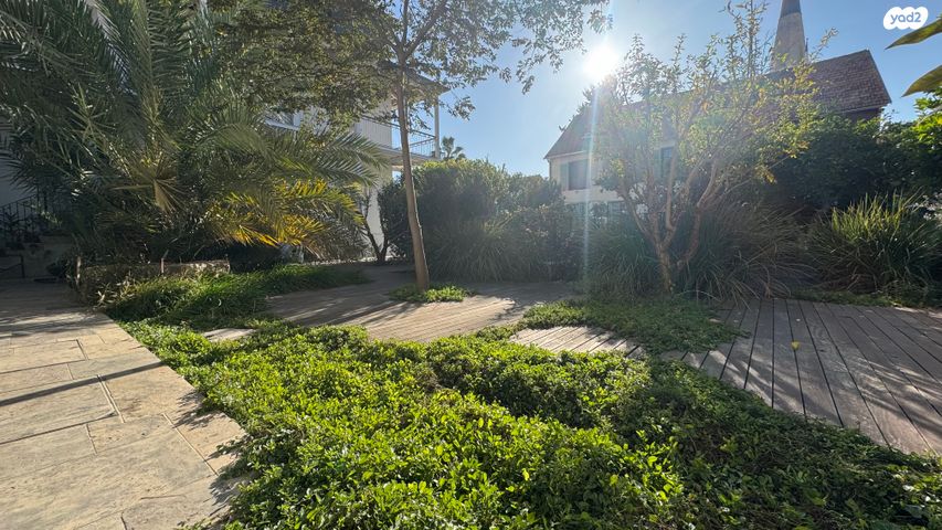 דירה, בר הופמן, צפון יפו, המושבה האמריקאית-גרמנית, תל אביב יפו