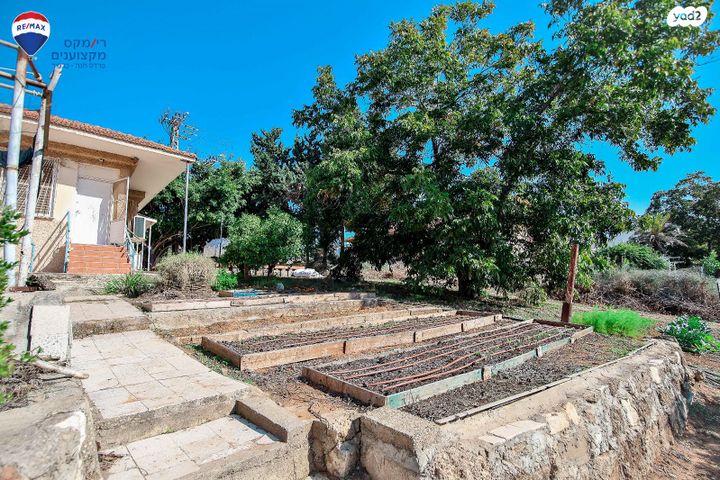 מגרשים, בנימינה גבעת עדה